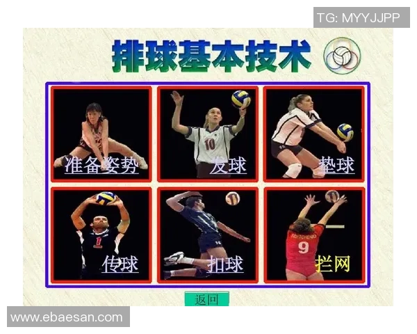 武汉排球队整体压制打法深度分析与战术解析 武汉排球队整体压制打法深度分析与战术解析