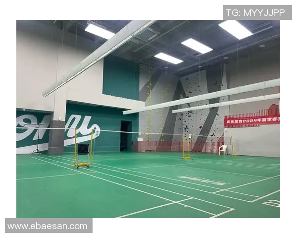 聚焦羽毛球：探讨西安羽毛球队的技术提升与战术创新之路