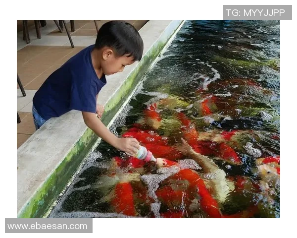 足球明星分享家养鱼趣事视频揭秘养鱼技巧与生活乐趣