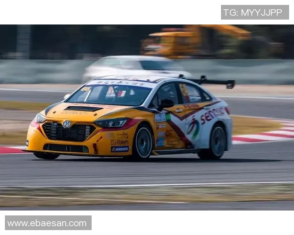 世界锦标赛积分榜：上海足球队以80分领跑