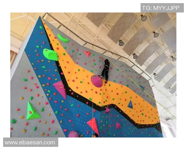 专业解读：南京攀岩队的节奏打法