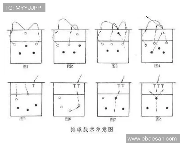 排球巨献:探秘深圳排球队的战术 排球巨献:探秘深圳排球队的战术